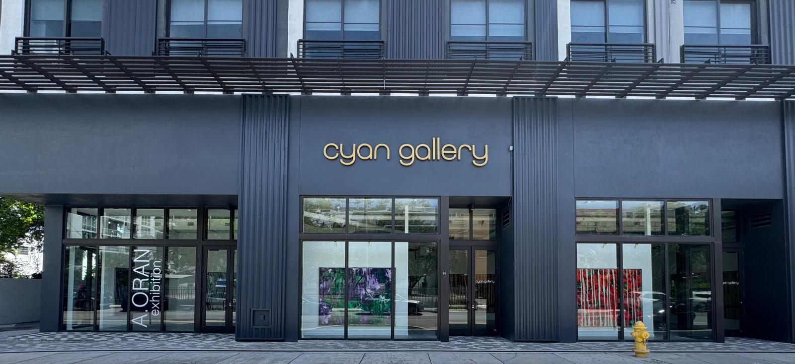 cyan-gallery-miami-usa